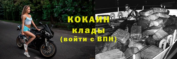 стафф Алзамай