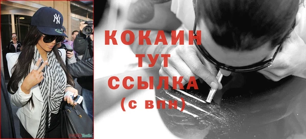 стафф Алзамай